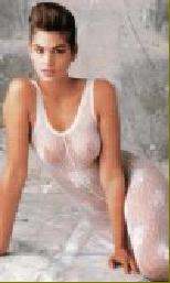 How stupid is Richard Gere? Why did he ever leave Cindy Crawford? Even this lego-like picture makes her look FINE!