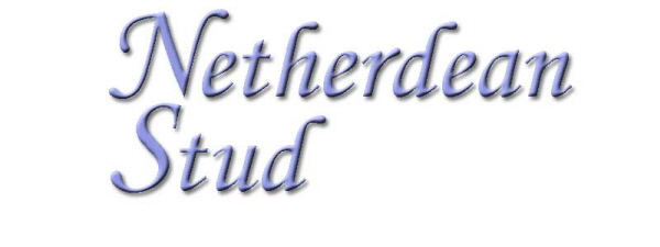 Netherdean Stud